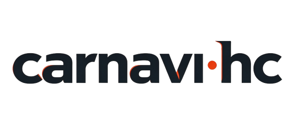 Car navi